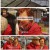 특종세상.E629.240404.1080p.H264-F1RST
