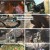 나는 자연인이다.E601.240417.1080p.H264-F1RST