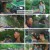 빠니보틀의세계여행.E01.240421.1080p.H264-F1RST