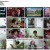 신의 한 수.E25.240425.720p-NEXT
