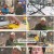 나는 자연인이다.E603.240501.1080p.H264-F1RST