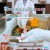 TV정보쇼 알짜왕.E367.240502.720p-NEXT