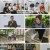 100세 프로젝트.E140.240512.1080p.H264-F1RST