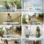 슈퍼푸드의 힘.E123.240512.1080p.H264-F1RST