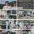 버스타고효도하고국민사위유랑단.E21.240512.1080p.H264-F1RST