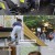 동행.E460.240518.720p-NEXT