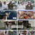 순간포착 세상에 이런일이.E1278.240518.1080p.H264-F1RST