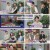 차이나는 클라스 위대한 질문.E13.240519.1080p.H264-F1RST