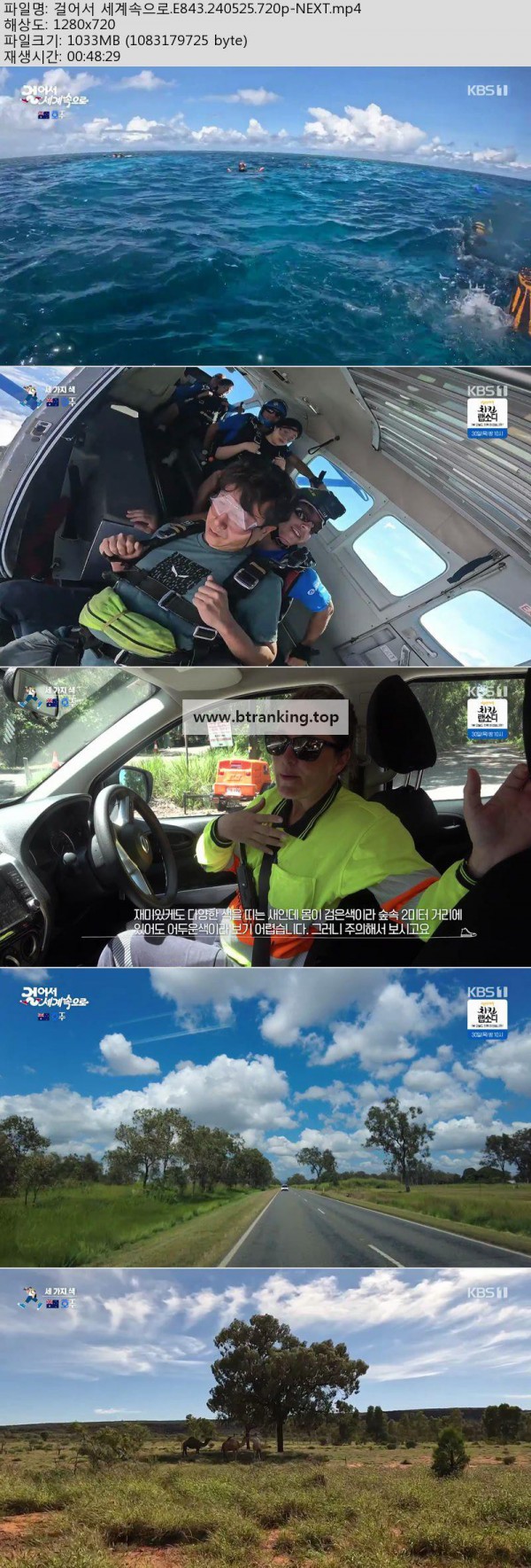 17504404072601.jpg