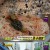 생활의 달인.E937.240527.720p-NEXT
