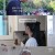 내고향 스페셜.E2506.240528.720p-NEXT