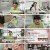 인생의 연장전.E93.240529.1080p.H264-F1RST.mp4