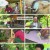나는 자연인이다.E607.240529.1080p.H264-F1RST