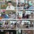 핑크드림175.E06.240531.1080p.H264-F1RST