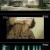 잔혹범죄시리즈 그녀가 죽였다.E05.240609.720p-NEXT