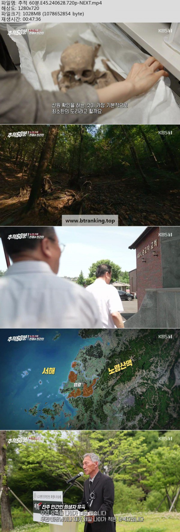 17504505866853.jpg