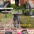엄마의 봄날.E459.240630.720p-NEXT