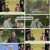 한번더체크타임.E198.240701.1080p.H264-F1RST
