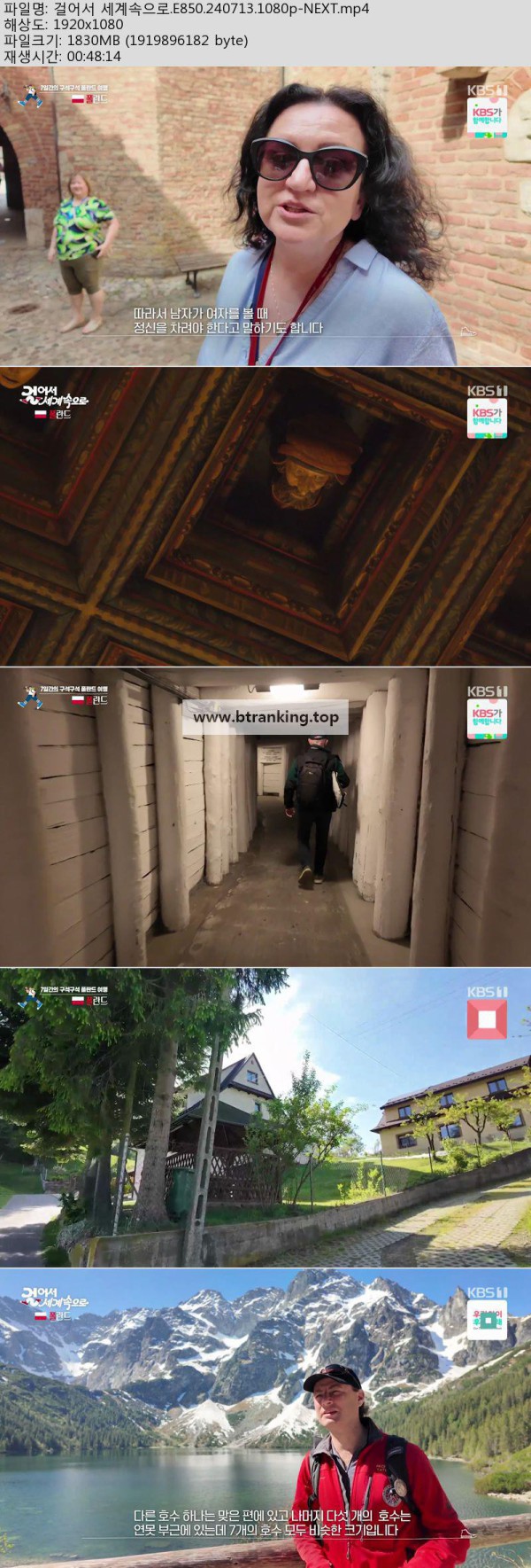 17504542510856.jpg