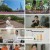 다큐초이스.E61.240720.1080p.H264-F1RST