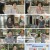 알약방.E213.240725.1080p.H264-F1RST