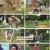 나는 자연인이다.E616.240731.1080p.H264-F1RST