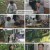 휴먼다큐 사노라면.E648.240804.1080p.H264-F1RST