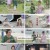 임성훈의 스타 유전자 X파일.E42.240810.1080p.H264-F1RST