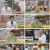 순정시대.E71.240811.1080p.H264-F1RST