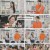 거인의 어깨.E04.240811.1080p.H264-F1RST