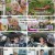 한번더체크타임.E204.240812.1080p.H264-F1RST