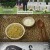 한국인의 밥상.E669.240815.720p-NEXT