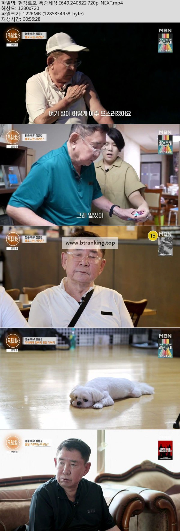 17504579102169.jpg