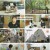 알약방.E218.240829.1080p.H264-F1RST