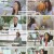 다큐초이스.E67.240831.1080p.H264-F1RST