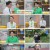 순정시대.E75.240908.1080p.H264-F1RST