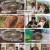 식객 허영만의 백반기행.E262.240908.1080p.H264-F1RST