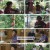 휴먼다큐 사노라면.E653.240908.1080p.H264-F1RST