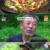 나는 자연인이다.E622.240911.720p-NEXT