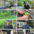 나는 자연인이다.E622.240911.1080p.H264-F1RST