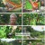 나는 자연인이다.E623.240918.1080p.H264-F1RST