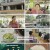다큐 플러스.E327.240929.1080p.H264-F1RST