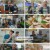 생활의 달인.E951.240930.1080p.H264-F1RST