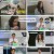 퍼펙트 라이프.E211.241016.720p.H264-F1RST