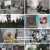 100세 프로젝트.E158.241020.1080p.H264-F1RST