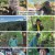 나는 자연인이다.E628.241023.1080p.H264-F1RST