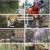 sbs뉴스토리.E489.241026.1080p.H264-F1RST