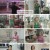 일요 특선 다큐멘터리.E355.241027.1080p.H264-F1RST