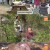 나는 자연인이다.E629.241030.720p-NEXT