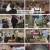 생활의 달인.E956.241104.1080p.H264-F1RST